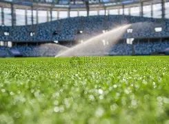 曼联,不敌伊普斯,维奇,千亿体育官网,APP下载,注册领彩金,官方网站,网站入口