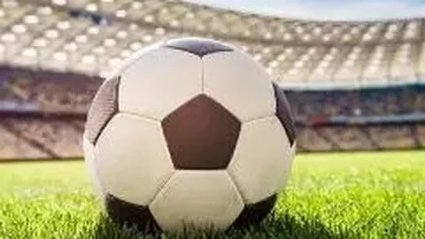 国乒奥运备战得四位大满贯选手全力援助